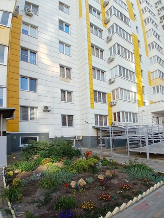 
  Продается 1-комн. квартира, 33 м², Адмирала Пустошкина ул, д. 22с1
. Фото 19.