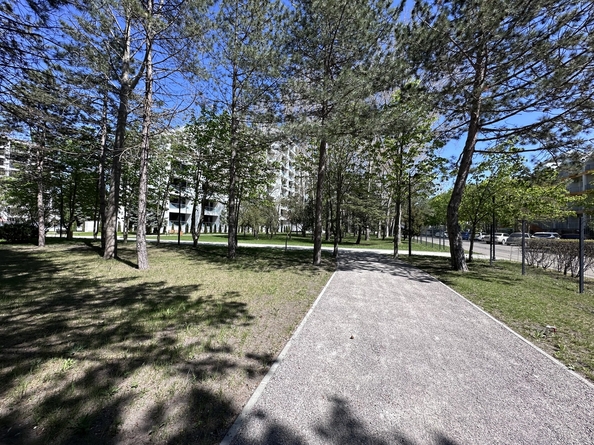 
  Продается студия, 23 м², Пионерский пр-кт, д. 20
. Фото 26.