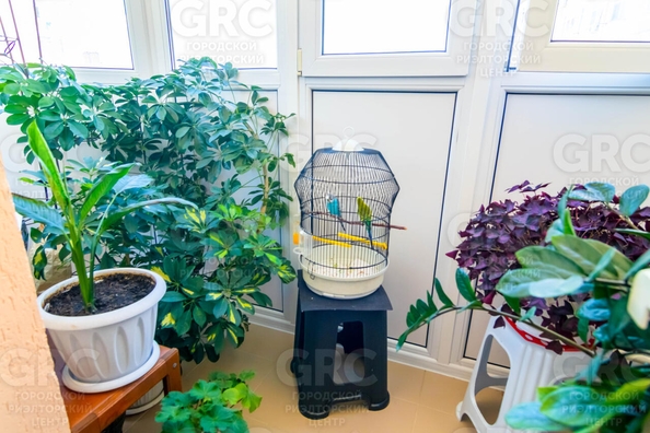 
  Продается 1-комн. квартира, 57 м², Виноградная ул, д. 123/3
. Фото 12.