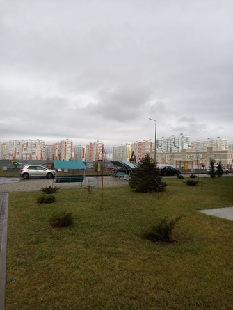 
  Продается студия, 18 м², ЖК Горгиппия, литера 13
. Фото 4.