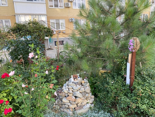 
  Продается студия, 18 м², Ленина ул, д. 196
. Фото 11.