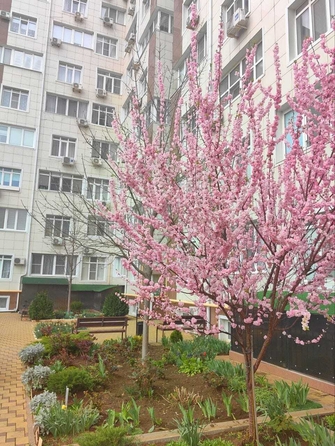 
  Продается 2-комн. квартира, 60 м², 40 лет Победы ул, д. 114
. Фото 9.
