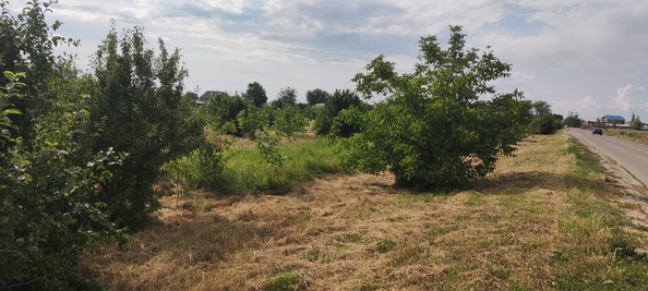 
  Продам земельный участок, 90 соток, станица Полтавская
. Фото 3.