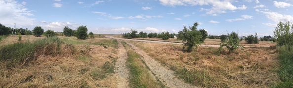 
  Продам земельный участок, 90 соток, станица Полтавская
. Фото 7.