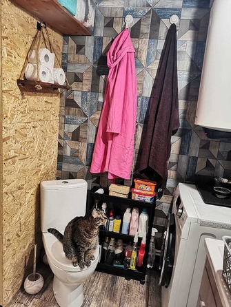 
  Продается студия, 35 м², Владимирская ул, д. 150
. Фото 9.