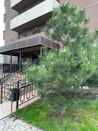 
  Продается студия, 29 м², Владимирская ул, д. 154к2
. Фото 9.