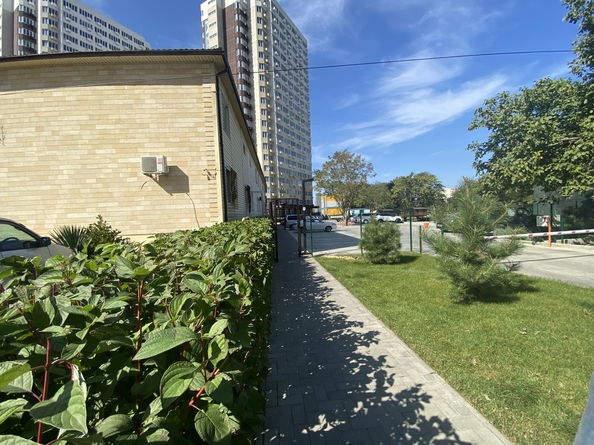 
  Продается студия, 26 м², Рождественская ул, д. 55к3
. Фото 18.