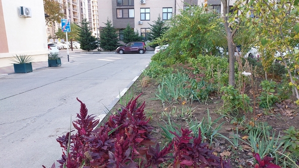 
  Продается 1-комн. квартира, 34 м², Рождественская ул, д. 42
. Фото 15.