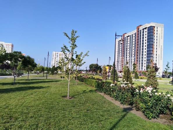 
  Продается 1-комн. квартира, 39 м², Ивана Голубца ул, д. 147
. Фото 24.