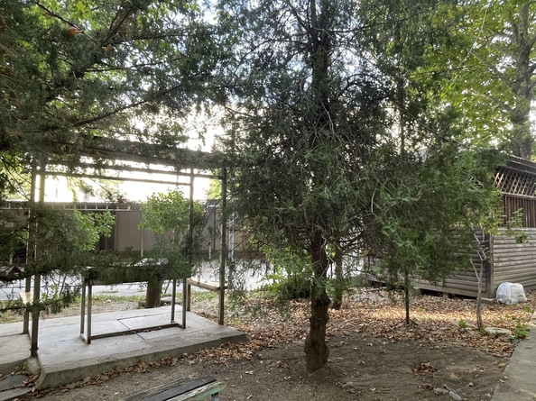 
  Продается 1-комн. квартира, 55 м², Ленина ул, д. 173к5
. Фото 29.