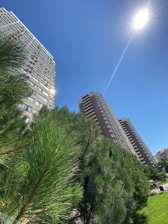 
  Продается студия, 28 м², Владимирская ул, д. 154к1
. Фото 14.