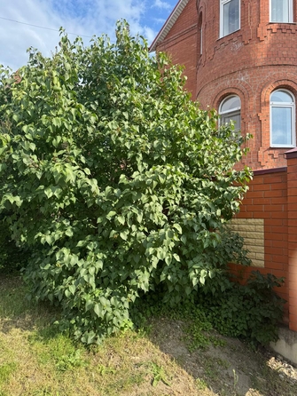 
  Продается 2-комн. квартира, 58 м², Николаевская ул, д. 10
. Фото 19.