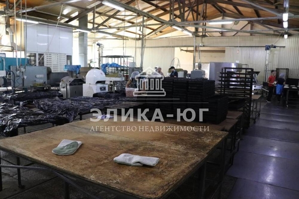 
  Продается готовый бизнес, 1000 м², Колхозная ул
. Фото 5.