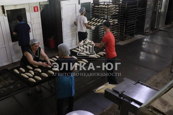 
  Продается готовый бизнес 1000 м². Фото 3.