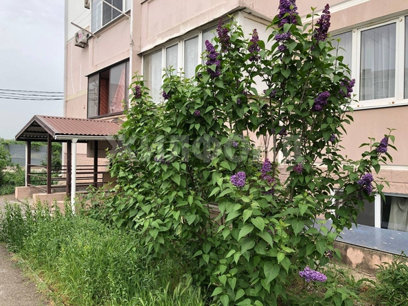 
  Продается студия, 19.9 м², Строителей ул, д. 2
. Фото 17.
