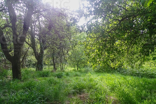 
  Продается дом, 122 м², Сочи
. Фото 4.