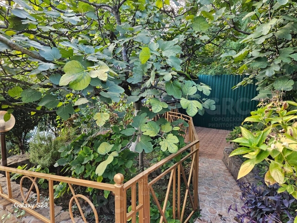 
  Продается дом, 500 м², Сочи
. Фото 14.
