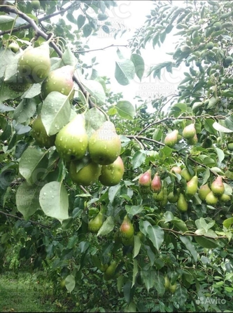 
  Продается дом, 140 м², Сочи
. Фото 18.