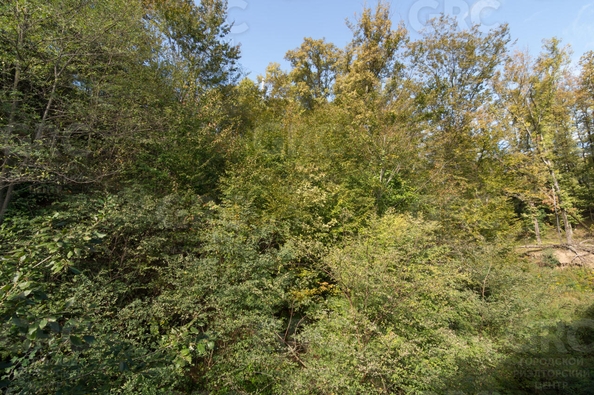 
  Продается 1-комн. квартира, 27.1 м², Известинская ул, д. 29/2
. Фото 6.