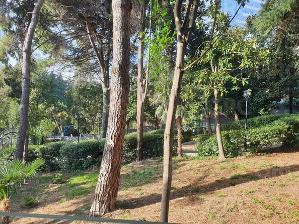 
  Продается студия, 23 м², Курортный пр-кт, д. 70
. Фото 11.