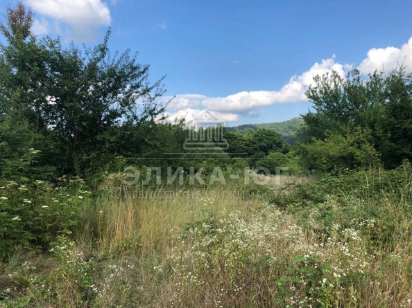 
  Продается земельный участок, 150 соток, село Цыпка
. Фото 1.