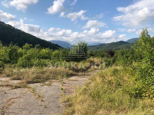 
  Продается земельный участок, 150 соток, село Цыпка
. Фото 10.