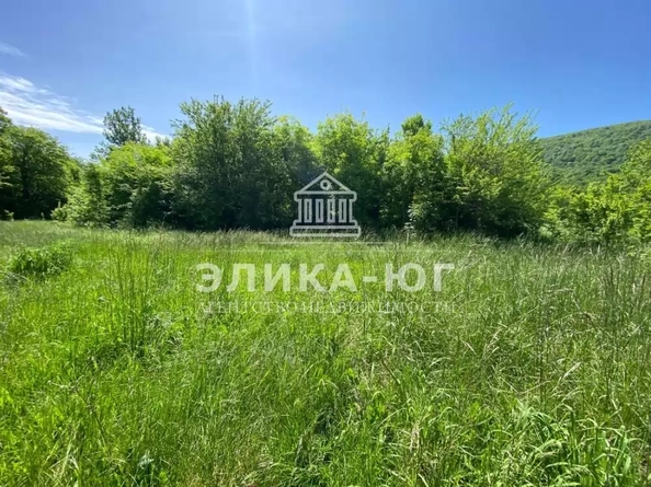 
  Продается земельный участок 150 соток. Фото 14.