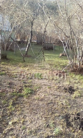 
  Продается земельный участок, 6.7 соток, село Пляхо
. Фото 7.