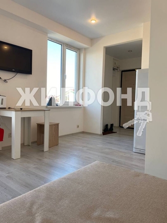 
   Продам 1-комнатную, 23.9 м², Подольская ул, 166/1

. Фото 4.