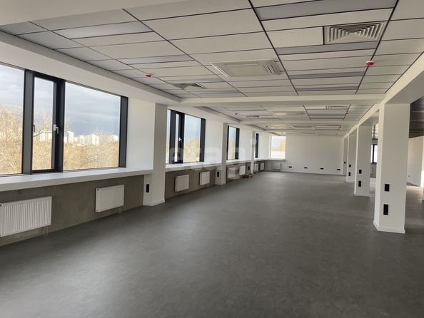 
  Сдается офис 1767 м². Фото 15.
