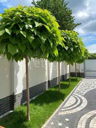 
  Продается дом 313 м². Фото 10.