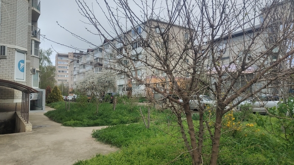 
  Продается 1-комн. квартира 39.8 м². Фото 20.