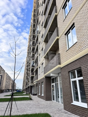 
  Сдается универсальное помещение 43.8 м². Фото 1.