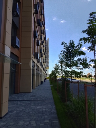 
  Продается 1-комн. квартира 43.7 м², в ЖК Эрмитаж, дом Малевич, к 1.1. Фото 19.