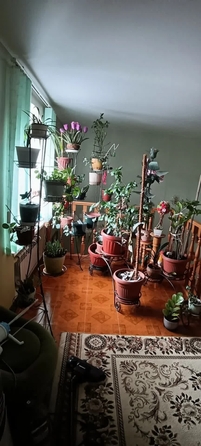 
  Продается дом 530.9 м². Фото 15.