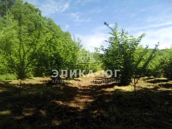 
  Продается земельный участок, 220 соток, село Дефановка
. Фото 3.