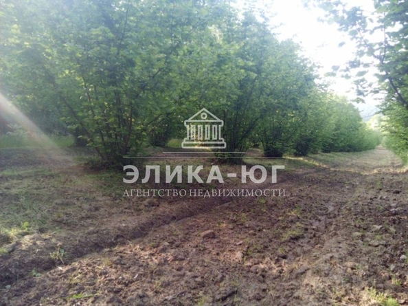 
  Продается земельный участок, 220 соток, село Дефановка
. Фото 6.