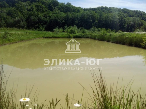
  Продается земельный участок, 220 соток, село Дефановка
. Фото 8.