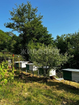 
   Продам дом, 37.5 м², Сочи

. Фото 3.