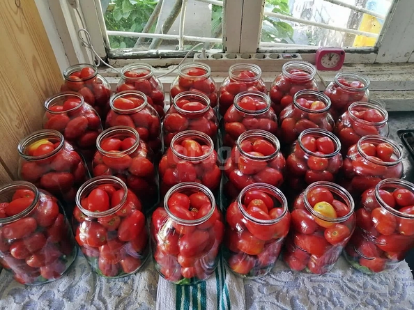 
  Продам  дачный участок, 5 соток, сдт Калина Красная

. Фото 1.