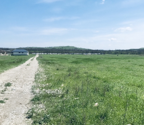 
  Продам  участок ИЖС, 8 соток, Нижнеподкумский

. Фото 2.