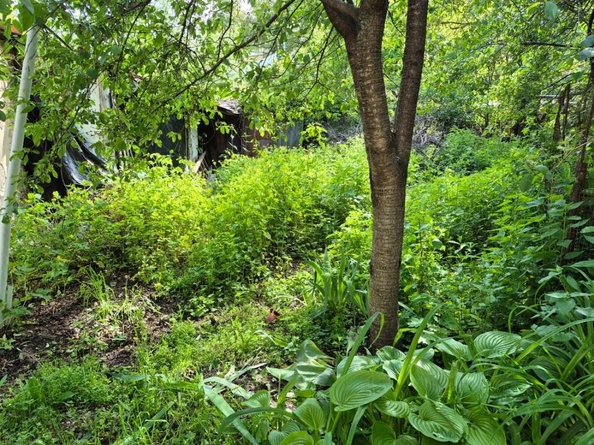 
  Продается 1-комн. квартира, 26 м², Красноармейская ул
. Фото 12.