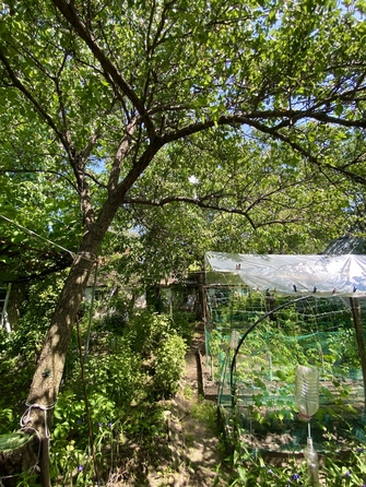 
  Продается дом, 77 м², поселок Свободы
. Фото 7.