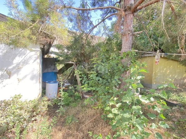 
  Продается дом, 54.7 м², село Чернолесское
. Фото 20.