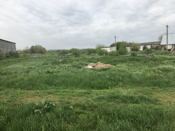 
  Продается склад, 1200 м², Новая ул, д. 35
. Фото 3.