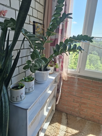 
  Продается 1-комн. квартира 47.8 м². Фото 13.