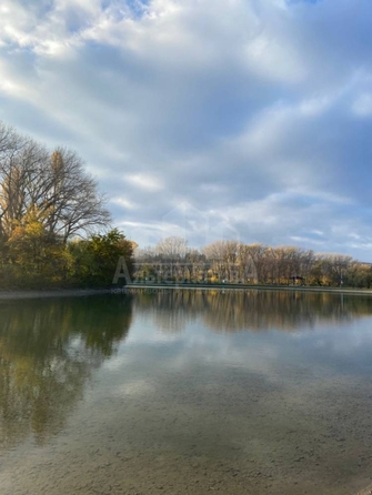 
  Продается 1-комн. квартира 42 м². Фото 16.