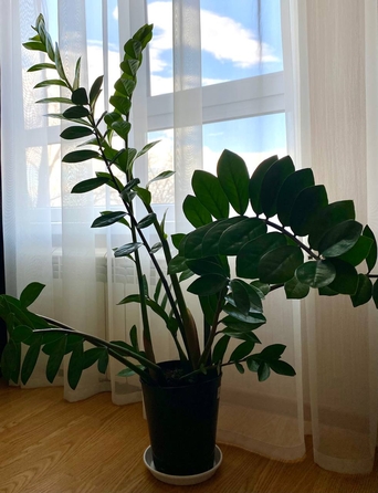 
  Продается 1-комн. квартира 36 м². Фото 3.