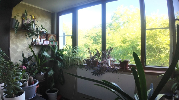 
  Продается 1-комн. квартира 35.5 м². Фото 9.