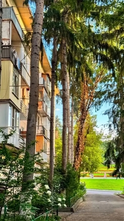 
  Продается 3-комн. квартира 50.6 м². Фото 15.
